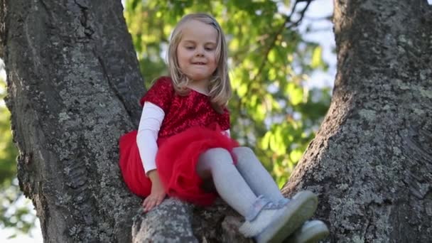 SLOW MOTION Happy cute blondynka dziewczynka w czerwonej sukience dotknąć drzewa — Wideo stockowe