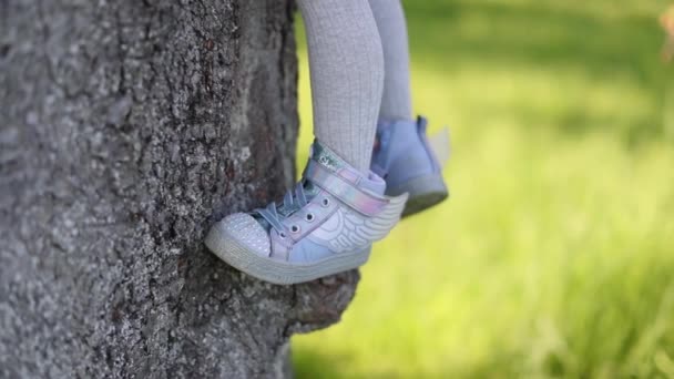 Movimiento lento Feliz linda niña rubia en vestido rojo tocar el árbol — Vídeos de Stock