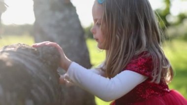 Yavaş hareket Kırmızı elbiseli mutlu sarışın küçük kız ağaca dokun