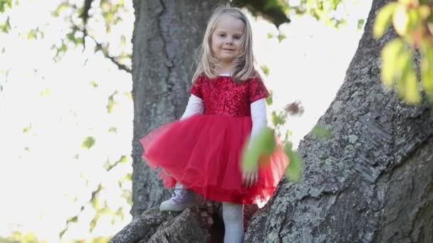 SLOW MOTION Happy gadis kecil pirang lucu dengan gaun merah menyentuh pohon — Stok Video