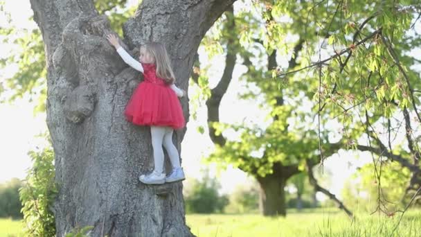 Movimiento lento Feliz linda niña rubia en vestido rojo tocar el árbol — Vídeos de Stock