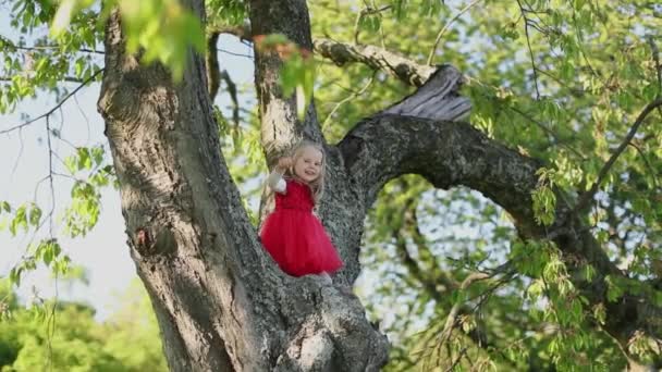 SLOW MOTION Щаслива мила блондинка дівчинка в червоній сукні торкається дерева — стокове відео