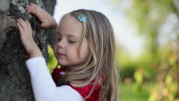 Movimiento lento Feliz linda niña rubia en vestido rojo tocar el árbol — Vídeo de stock