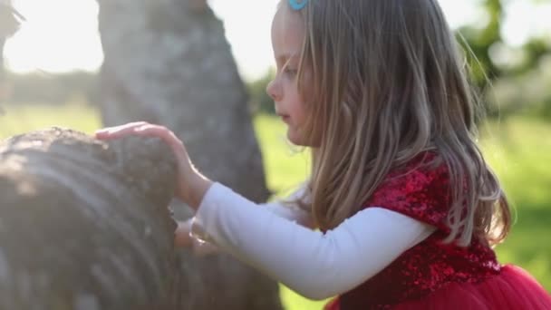 SLOW MOTION Ευτυχισμένο χαριτωμένο ξανθό κοριτσάκι με κόκκινο φόρεμα αγγίξει το δέντρο — Αρχείο Βίντεο