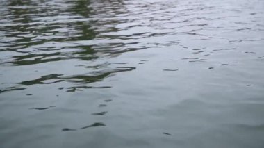 Dalgalanan güzel otların yakınına. Yavaş motin 'de güzel bir arazi.