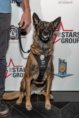 Köpek Dita, 10 Kasım 2018 'de Los Angeles, Kaliforniya' da düzenlenen AVALON Hollywood 'da Kahramanlar için LAPMF Kahramanlar Poker Turnuvası ve Kumarhane Gecesi Partisi' ne katıldı.