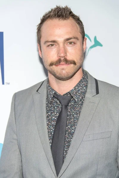 Andrew Steel Deltar 6Th Annual Australians Film Awards Gala Neuehouse — Stockfoto