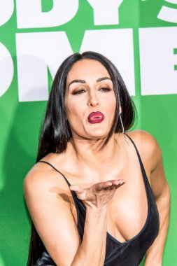 Nikki Bella, 5 Kasım 2017 'de Los Angeles Regency Village Theater' da NEST sponsorluğunda Babaların Evi 2 'nin Paramount Pictures galasına katıldı. 