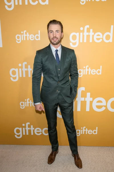 2017 Chris Evans Adopts Gifted Premiere Pacific Theaters Grove April — 스톡 사진
