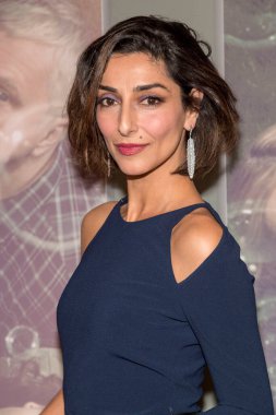 Necar Zadegan, 5 Şubat 2018 'de HBO' nun 