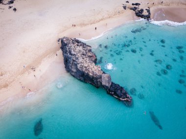 Havadan görünümü uçurumdan atlama dalgıçlar ile Waimea Bay Beach Park'ta kayalık deniz manzarası, temiz turkuaz su. Oahu, Hawaii, north shore.