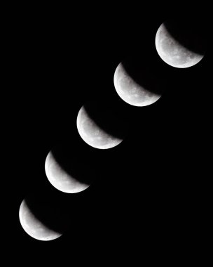 Bileşik 2019 kan Wolf Moon