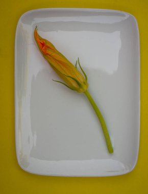 Kızarmış börek ya da pancar pişirmek için kabak çiçeği. Beyaz tabakta. üstten çekim.