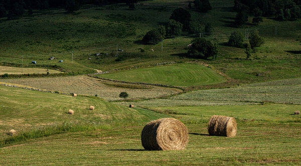 Straw bales in field in rustic countryside , Lozere France.
