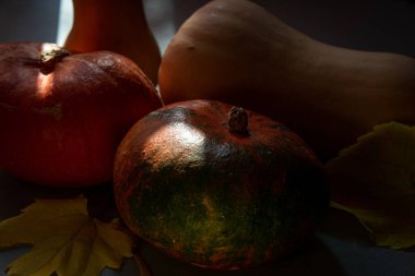 Huysuz balkabağı ya da kabak Sonbahar konsepti sarı yapraklı arka plan ışığı.