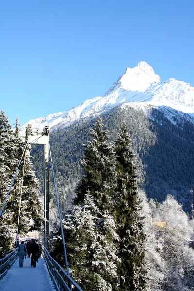 Die Brücke Durch Die Schlucht Den Bergen Von Dombai Kaukasus — Stockfoto