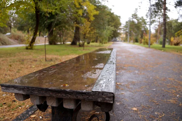Wet Bench City Park Autumn Season — Stock Photo, Image