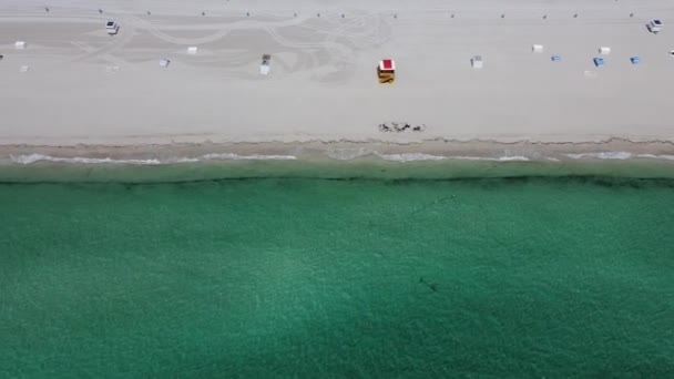 South Beach Miami Beach Foi Fechada Novamente Devido Surto Coronavírus — Vídeo de Stock