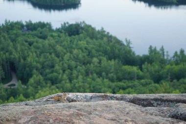 New Hampshire, Squam Gölü Panoraması Çıngıraklı Yılan Dağı 'nın tepesinden görüldüğü gibi
