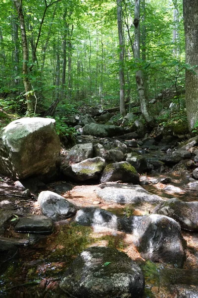 Pohled Stezku Horské Turistické Stezce New Hampshire — Stock fotografie