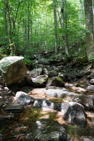 Pohled Stezku Horské Turistické Stezce New Hampshire — Stock fotografie