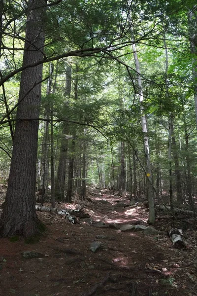 Vista Caminho Trilha Caminhadas Montanha New Hampshire — Fotografia de Stock