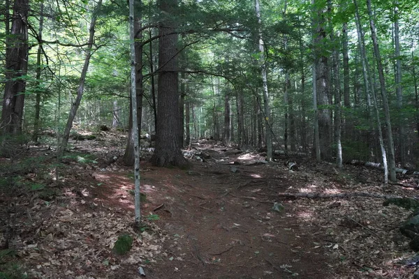 Vista Caminho Trilha Caminhadas Montanha New Hampshire — Fotografia de Stock