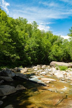 Lincoln Nehri 'nin New Hampshire' ındaki Kankomangus patikasında.