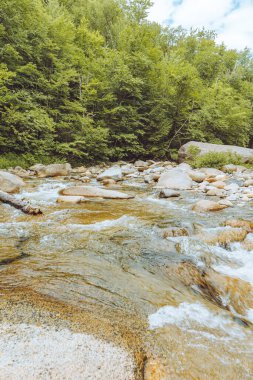 Lincoln Nehri 'nin New Hampshire' ındaki Kankomangus patikasında.