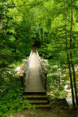 Lincoln Nehri 'nin New Hampshire' ındaki Kankomangus patikasında.