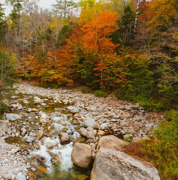 Drone Pohled Franconia Falls Stezka Dálnice Kancamagus Plném Květu Podzim — Stock fotografie