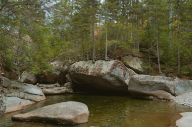 Kancamagus karayolu yakınlarındaki Franconia Şelalesi yolu sonbaharda New Hampshire 'da tam çiçeklenmeye başlar.