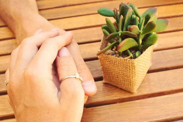 Close-up de adorável casal mãos segurando juntos com uma planta na mesa de madeira, conceito de amor, os amantes que têm uma data em um café — Fotografia de Stock