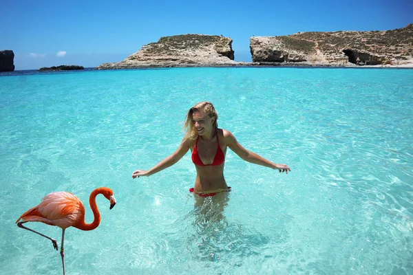 Uma menina bonita jovem que fica na água azul na lagoa azul olhando para o flamingo e sorrindo, desfrutando de férias na praia — Fotografia de Stock