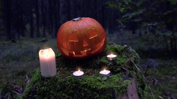 Gelukkig oranje pompoen in een sprookjesbos rond mos met kaarsen — Stockvideo