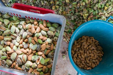 Biraz yakından görmek sadece badem Romana adı verilen çeşitli aldı