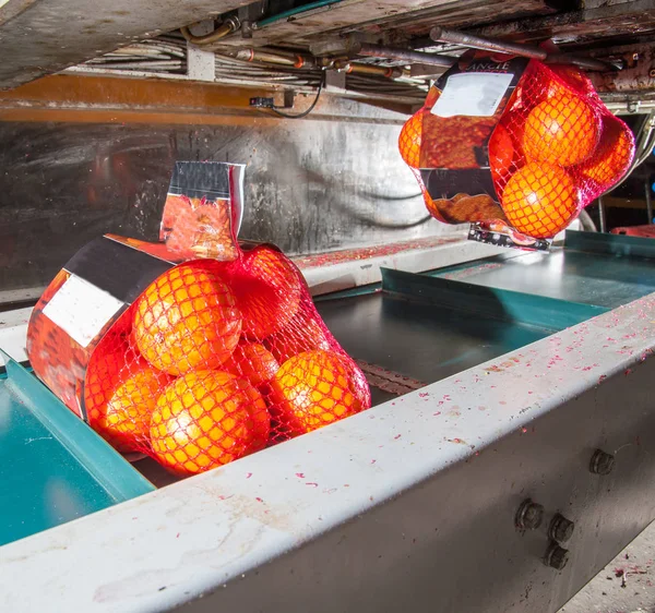 El funcionamiento de las naranjas —  Fotos de Stock