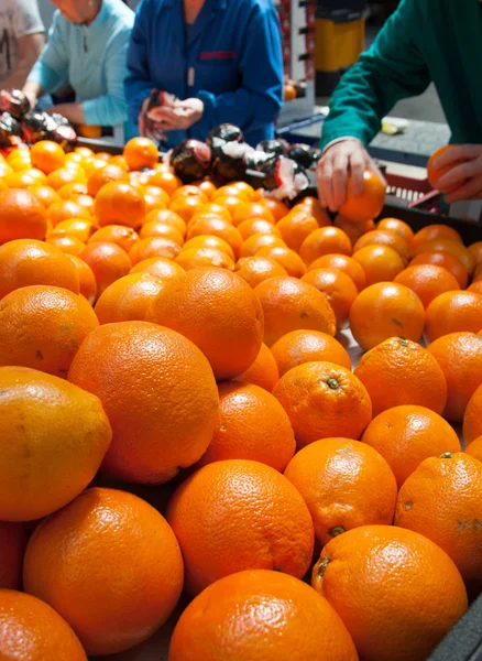 The working of oranges — Stock Photo, Image