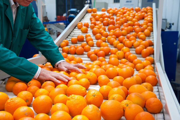 The working of citrus fruits