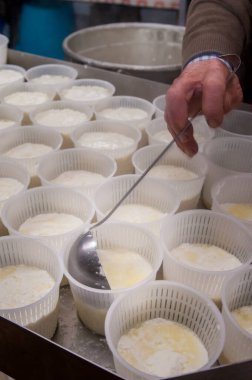 Küçük plastik kapları sıcak ricotta peyniri ile dolduran bir çiftçinin eli.