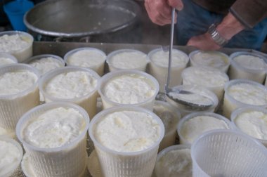 Küçük plastik kapları sıcak ricotta peyniri ile dolduran bir çiftçinin eli.