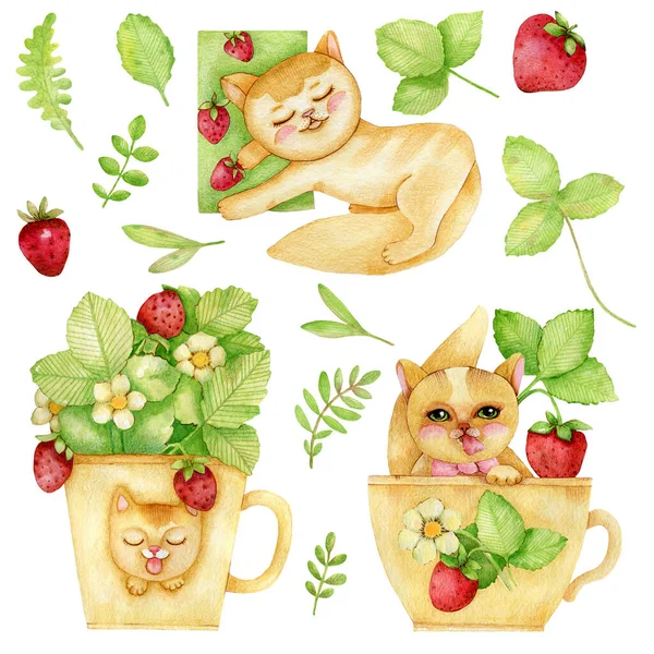 Watercolor illustration, cute red cats, strawberries, leaves, can be used for postcards, prints, packaging and much more.