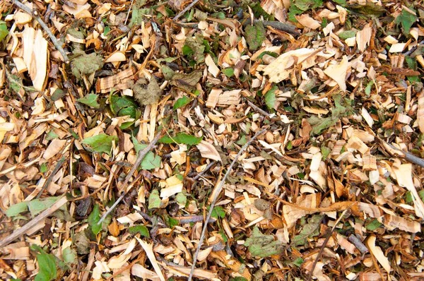 A nicebark wood chips mulch texture background.