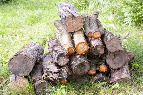 Troncos Madera Apilados Troncos Árboles Muebles Jardín — Foto de Stock