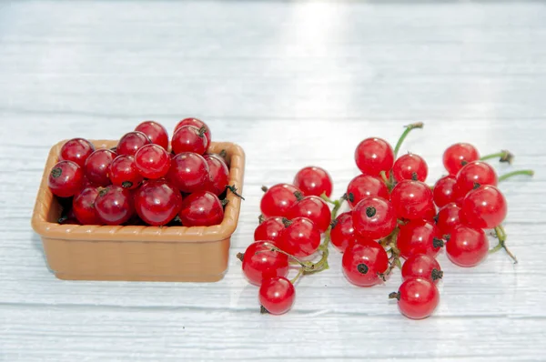 Gri ahşap arka planda küçük sepette taze üzümlü üzümler. Seçici odaklanma. Makroyu kapat