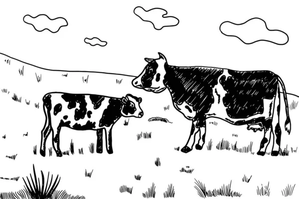 Kráva Venkov Farma Zvíře Rytí Vektorové Ilustrace Napodobenina Stylu Škrábanců — Stockový vektor