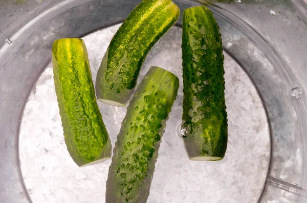 Küçük salatalıklar sonbaharda turşuya hazır, içi su dolu kovayla ıslanır.