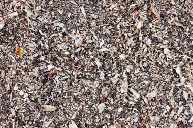 Güzel bir ağaç kabuğu, kahverengi cips, gübre dokusu arka planı.