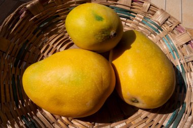 Bambu dokusuna izole edilmiş taze sulu bir mango.