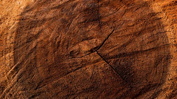 Grano Madera Disposición Longitudinal Las Fibras Madera Forma Natural Redondeada —  Fotos de Stock